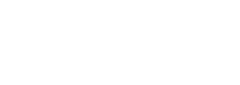 Stellar Cyber