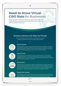 need-to-know-virtual-ciso-stats-for-businesses-3d-cover